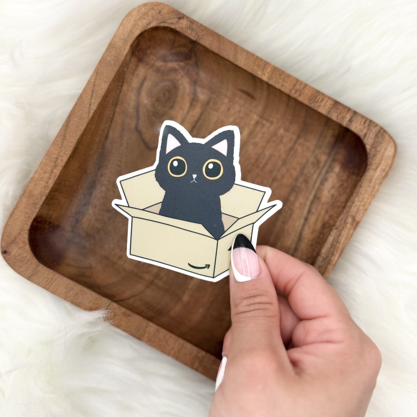 Cat In Box Sticker
